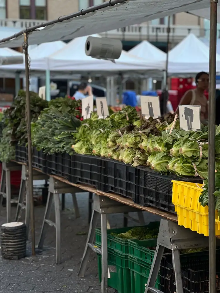 Leafy vegetables displayed in crates at an outdoor market.