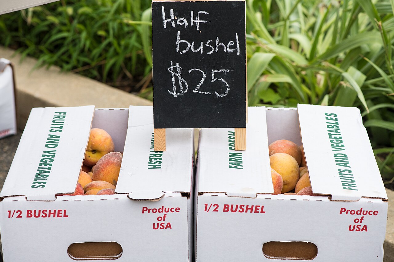 Fresh peaches on display at a farmers market