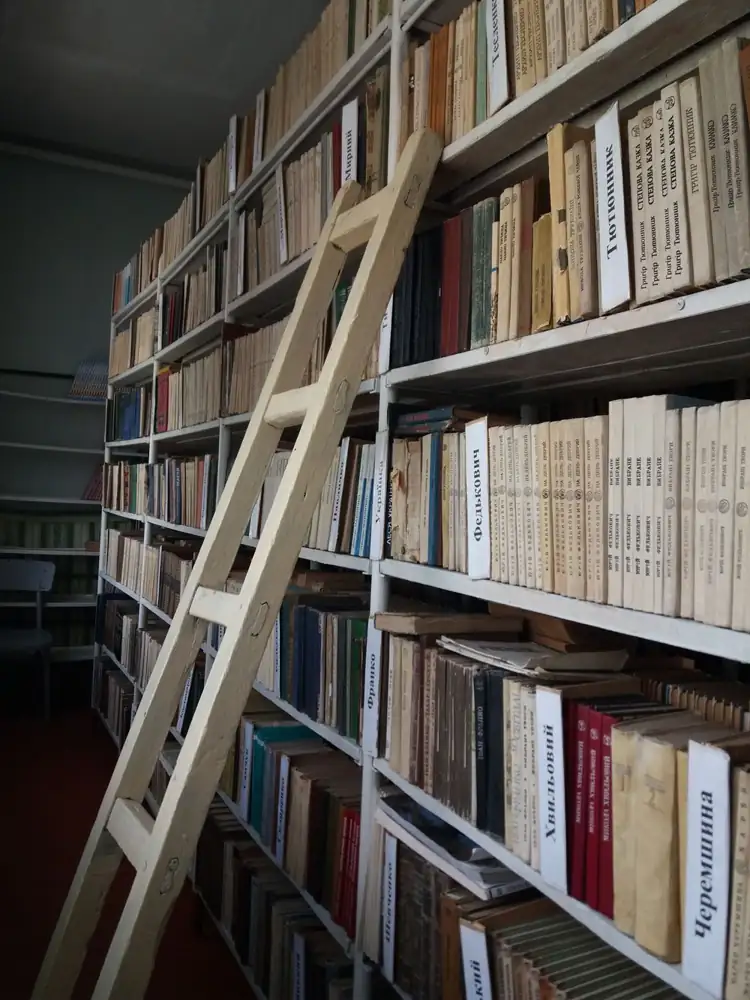 A library with tall bookshelves and a wooden ladder for accessing high books.