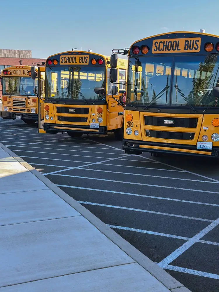 Multiple yellow school buses stationary in a parking lot under a clear sky.