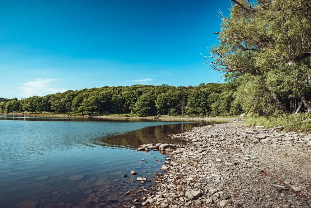 Tranquil lakeside view featuring a rocky shoreline and lush green forest under a clear blue sky.