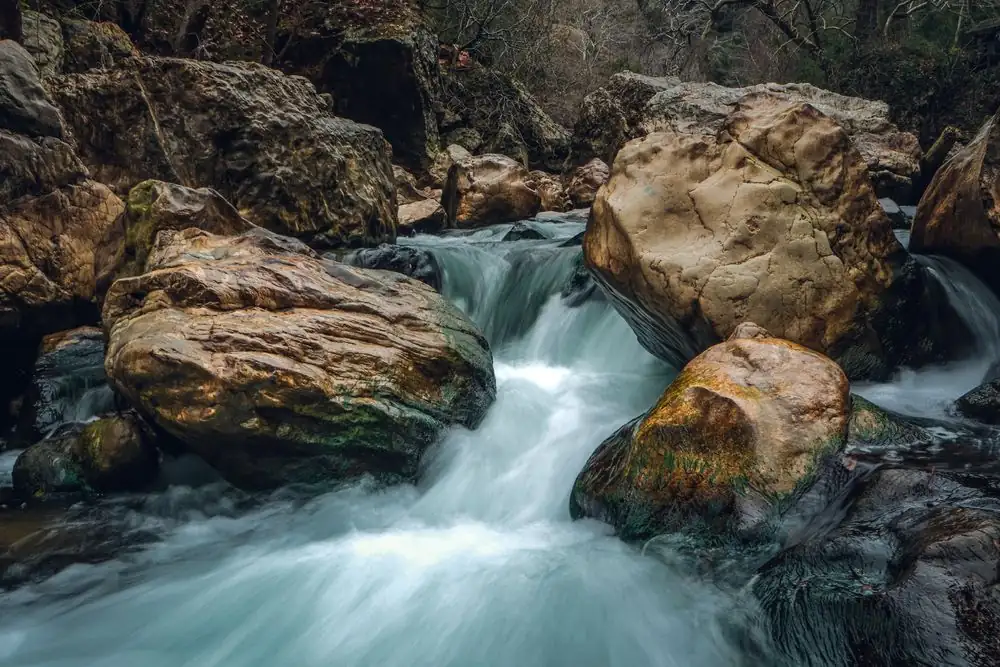 Captivating stream flowing through rugged rocks in a serene forest setting.