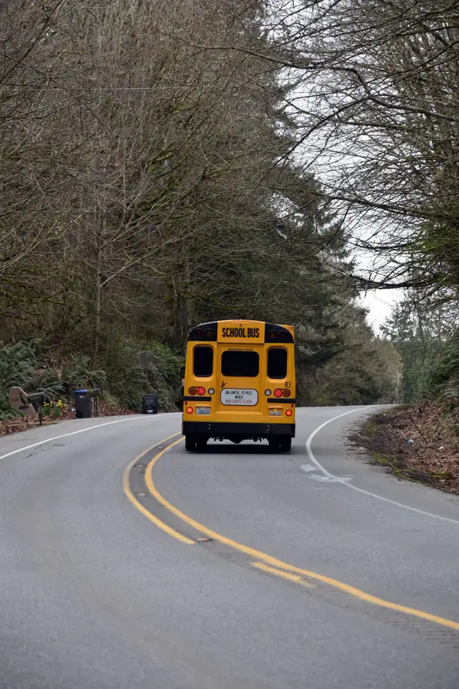 A yellow bus drives through a winding road surrounded by bare trees.