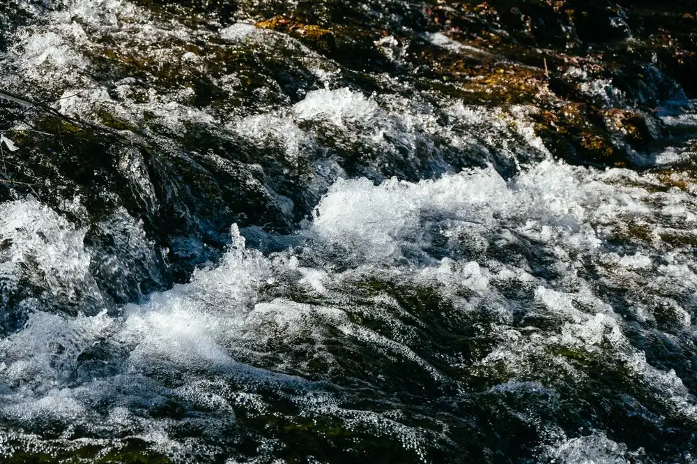 Close-up of a dynamic stream with clear water rushing over rocks.