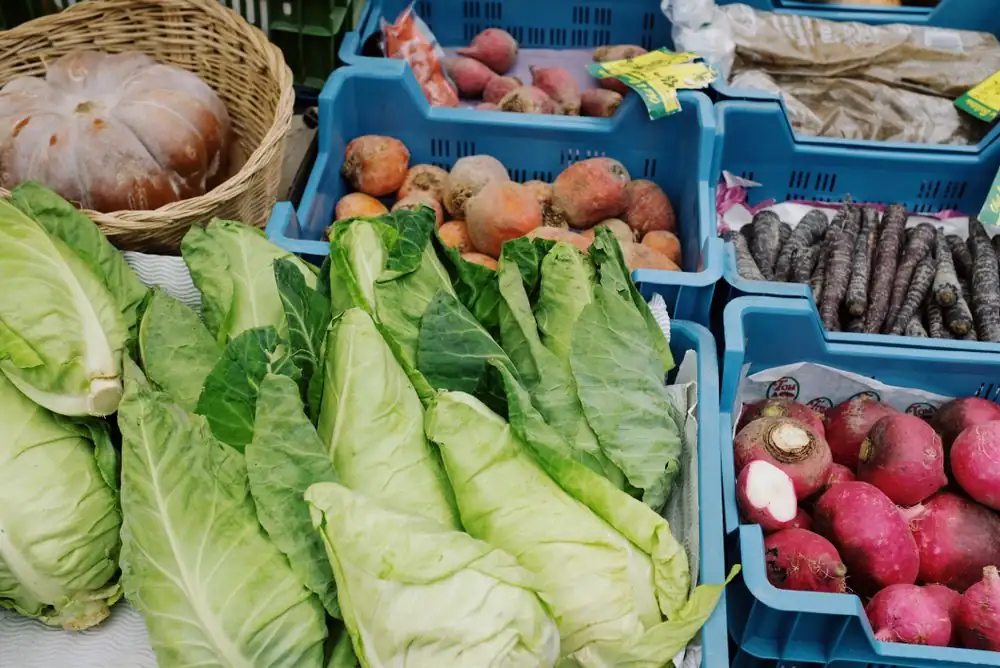 Various vegetables placed in plastic boxes on stall on market on street